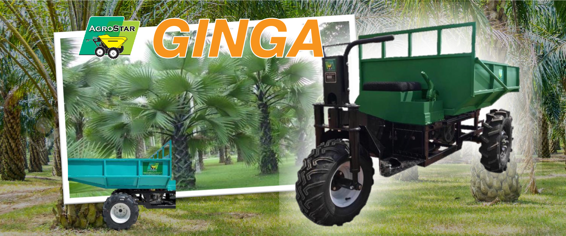 Agrostar GINGA